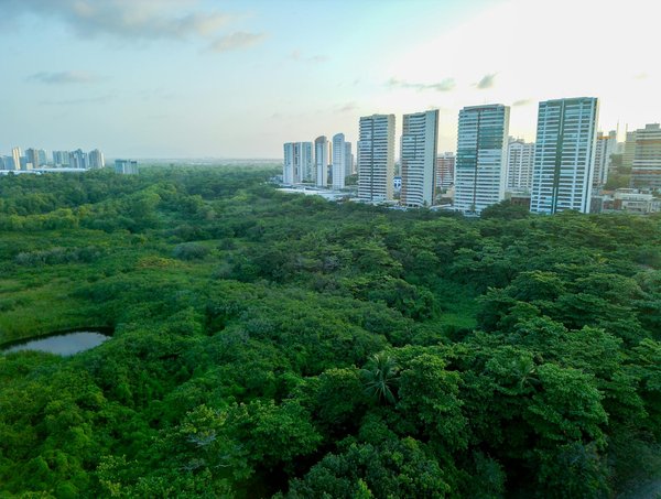 Travailler avec une maladie chronique : défis et solutions